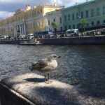 Кто виноват, если в квартире холодно?